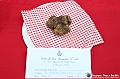 VBS_4246 - Fiera Nazionale del Tartufo Bianco 2024